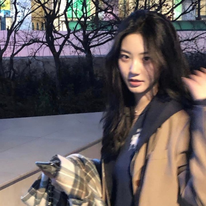 蝴蝶春梦